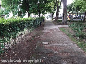 Montefiascone - Il prato giardino