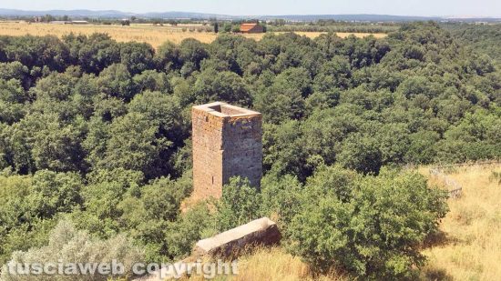 Viterbo - La necropoli etrusca di Castel d'Asso