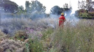 Tarquinia - Incendio in località San Giorgio