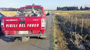 Tarquinia - Incendio in un campo di grado in località Farnesiana - L'intervento dei vigili del fuoco