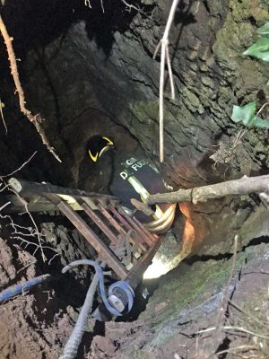 Grotte Santo Stefano - I vigili del fuoco salvano il vitellino 