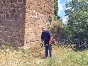Viterbo - Passeggiata sulle vie delle piantagioni di tabacco - Le operazioni di pulizia