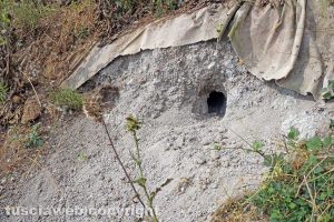 Vetralla-Cinelli - Tana di animale all'interno della discarica