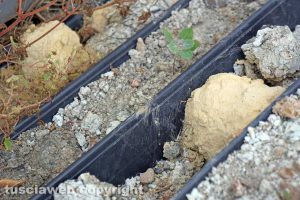 Vetralla-Cinelli - I sondaggi del 2006 abbandonati nella discarica