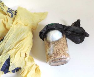 Vetralla - Carabinieri - Droga nascosta nel sottobosco