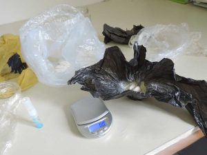 Vetralla - Carabinieri - Droga nascosta nel sottobosco