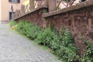 Viterbo - Incuria nelle vie del centro