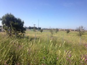 Tirrenica - Lotto 6A