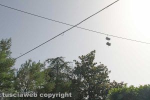 Tobia - L'albero delle scarpe da tennis