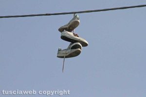 Tobia - L'albero delle scarpe da tennis