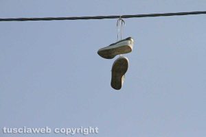 Tobia - L'albero delle scarpe da tennis