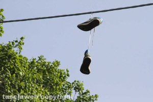 Tobia - L'albero delle scarpe da tennis