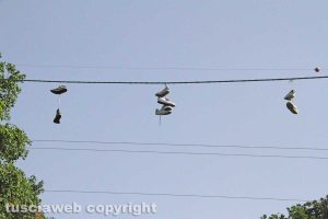 Tobia - L'albero delle scarpe da tennis
