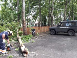 Montefiascone - L'albero caduto - Intervento dei carabinieri forestali