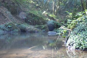 Vasanello - Alla riscoperta del vecchio Castrum Palazzolo