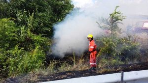 Tarquinia - Incendio sulla sp Lupo Cerrino - Intervento dell'Aeopc