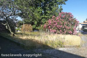 Viterbo - Incuria a via Torino