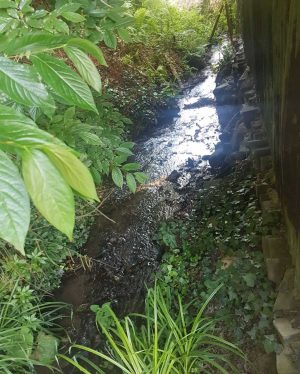 Il parco dell'Arcionello