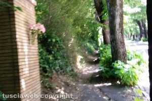 Viterbo - Giungla casereccia tra l'Inail e la Mazzetta