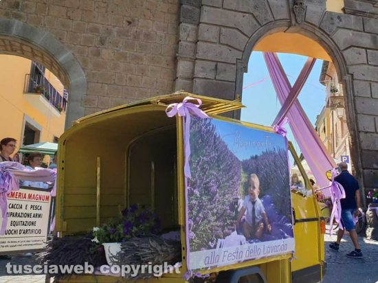 Tuscania - La festa della Lavanda