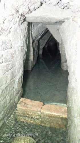 Viterbo - Santa Maria in Gradi - Sopralluogo nel "caput acquae"