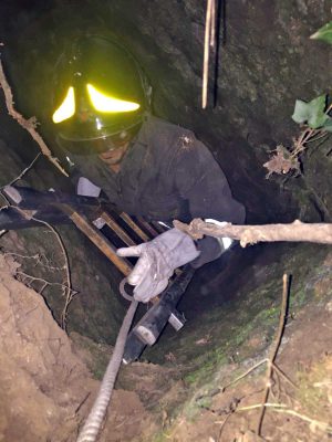 Grotte Santo Stefano - I vigili del fuoco salvano il vitellino 