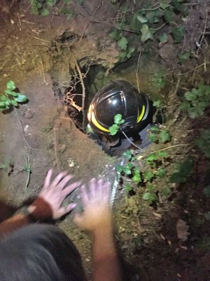 Grotte Santo Stefano - I vigili del fuoco salvano il vitellino 