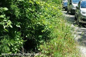 Viterbo - Incidente stradale sulla Canepinese 