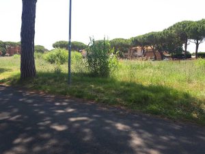 Tarquinia - Lotti incolti al Lido
