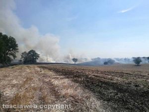 Viterbo - Sterpaglie in fiamme sulla Tuscanese