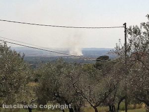 Viterbo - Sterpaglie in fiamme sulla Tuscanese