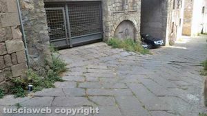 Viterbo - Quartiere San Pellegrino - Erbacce e degrado