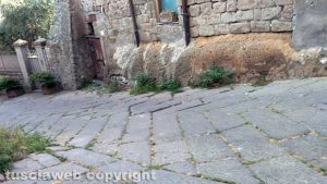 Viterbo - Quartiere San Pellegrino - Erbacce e degrado