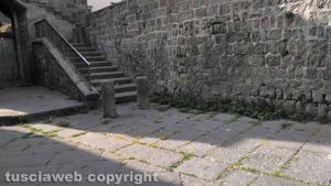 Viterbo - Quartiere San Pellegrino - Erbacce e degrado
