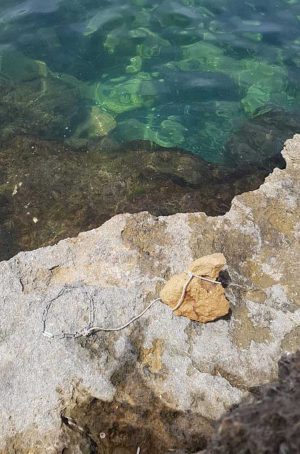 Trapani - Cane gettato in acqua con una pietra al collo