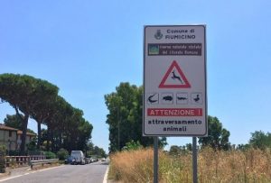 Maccarese - Un cartello scherza sul coccodrillo