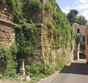 Viterbo - Via Vallecupa - Erbacce sulle mura 