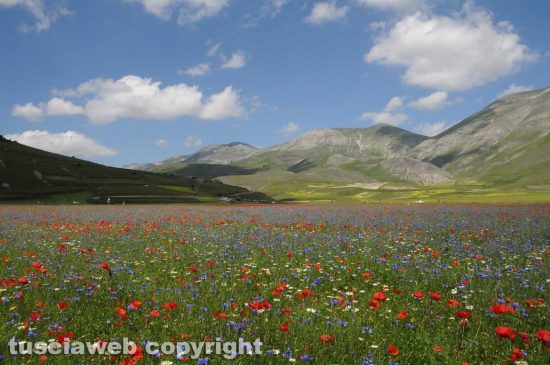 Castelluccio di Norcia - Lo scatto di Giuseppe Rapiti