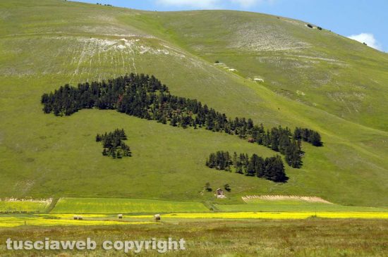 Castelluccio di Norcia - Lo scatto di Giuseppe Rapiti