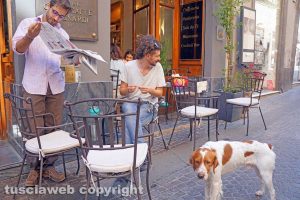 Viterbo - Il caffè Schenardi