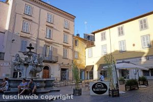 Viterbo - Il caffè Schenardi