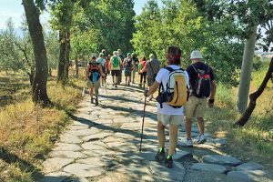 Cultura - Una passata edizione di CamminainTuscia