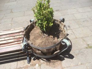 Castiglione in Teverina - Piazza del Poggetto - Fioriere danneggiate