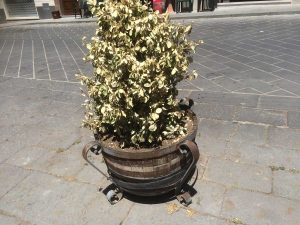Castiglione in Teverina - Piazza del Poggetto - Fioriere danneggiate