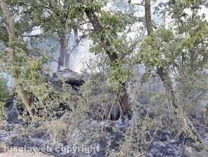 Viterbo - Incendio di bosco e sterpaglie a Fastello