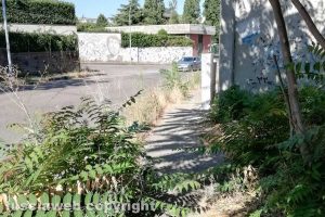 Viterbo - Erbacce in via Monti Cimini