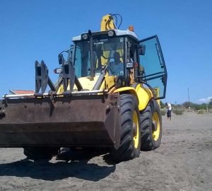 Tarquinia - Delfino spiaggiato a Marina Velca