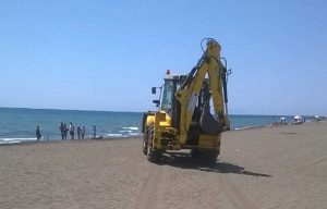 Tarquinia - Delfino spiaggiato a Marina Velca