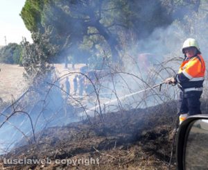 Tarquinia - Vasto incendio in località Cavalline - Protezione civile in azione