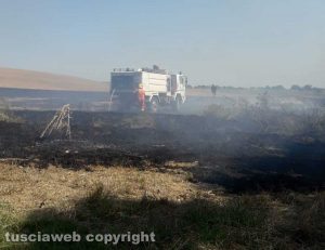 Tarquinia - Vasto incendio in località Cavalline - Protezione civile in azione